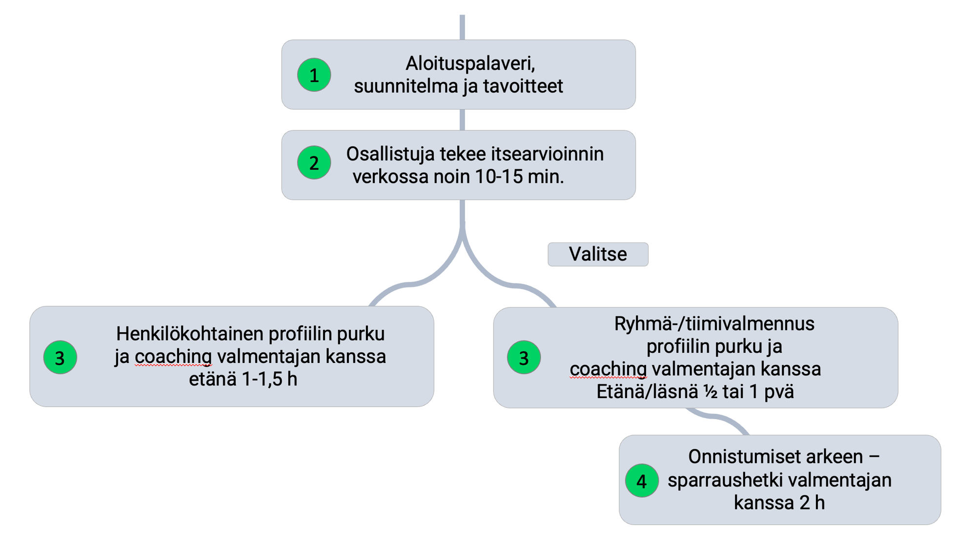 Näyttökuva 2024-09-08 kello 15.59.23